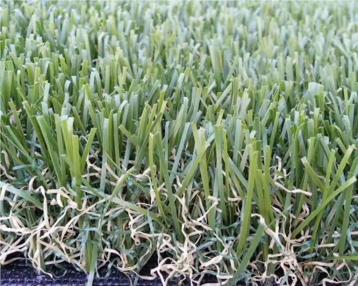 Garden Lawn Grass2