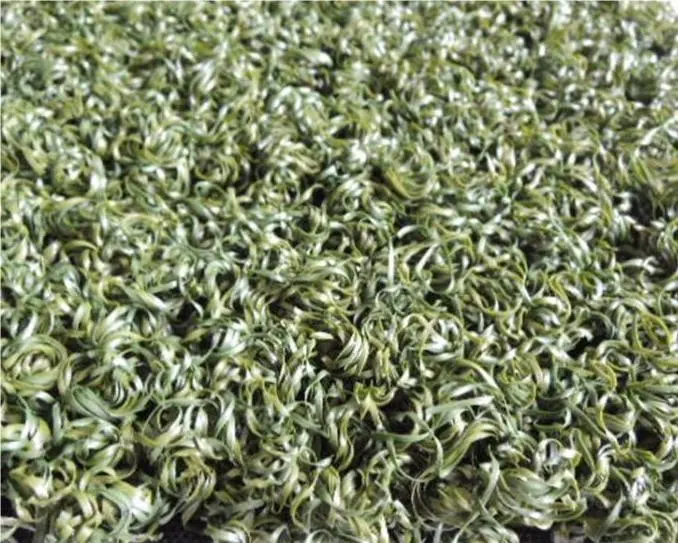 Buy Synthetic Turf for Baseball Surface Products, Suppliers