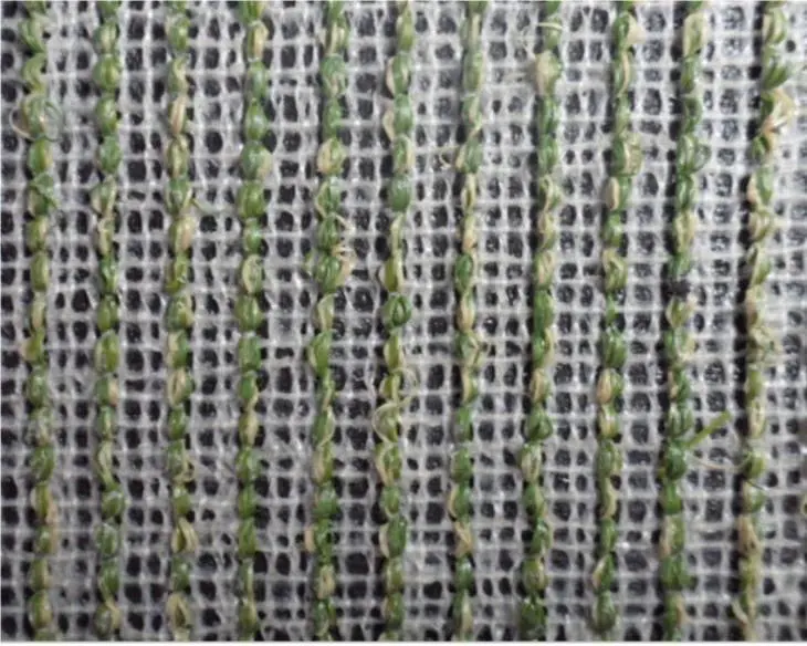 OEM Drainable Synthetic Pet Turf with Realistic Artificial Grass Manufacturers, Product