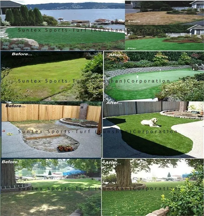 Garden Lawn Grass5