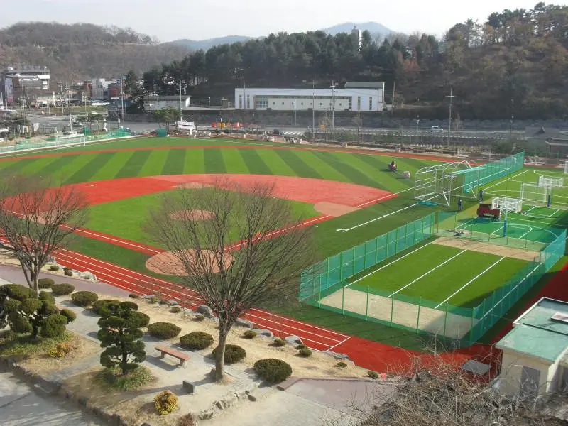 High Quality Baseball Turf4