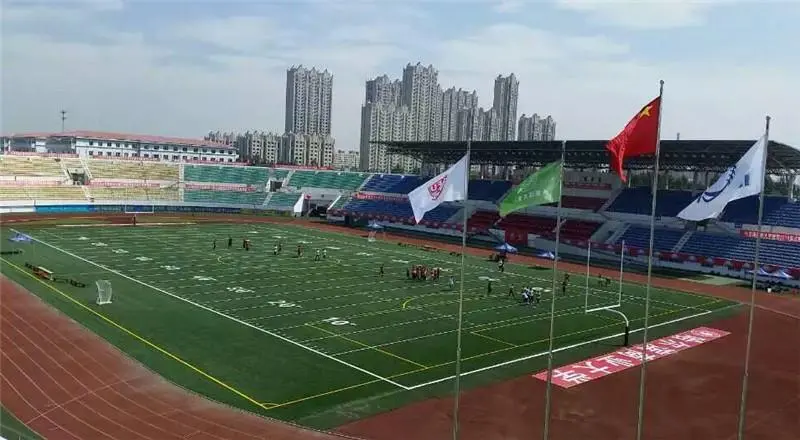 Rugby Surface Turf4