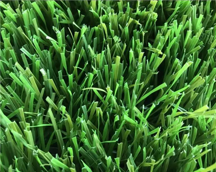 Football Field Grass