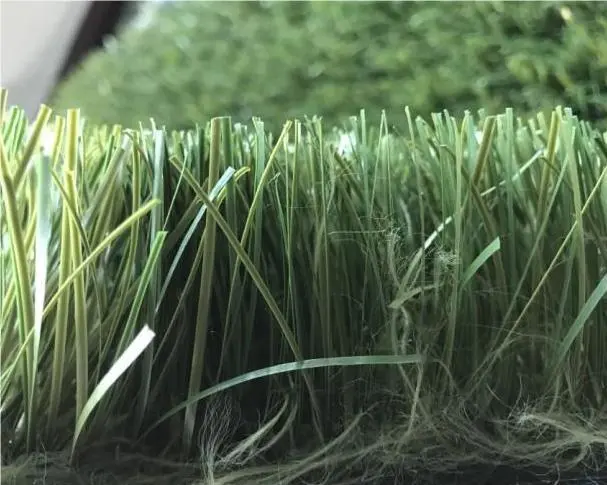 Turf Soccer Field3