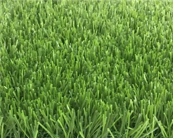Decorative Yard Grass3