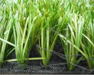 Buy Wear-resistant TenCate Football Turf Product, Factory