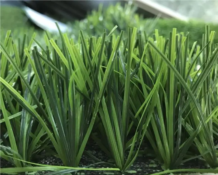 football grass
