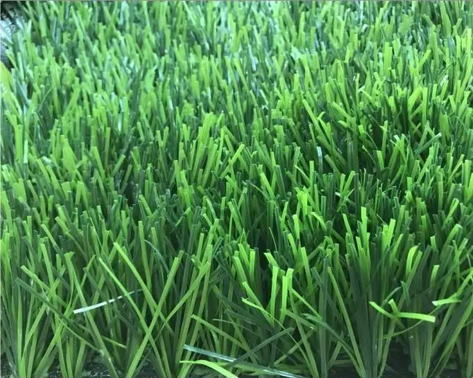 football grass3