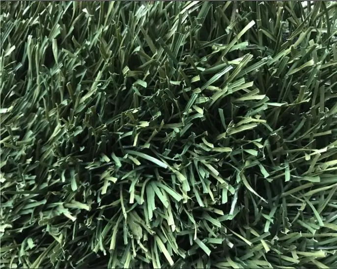 Turf Football Field2