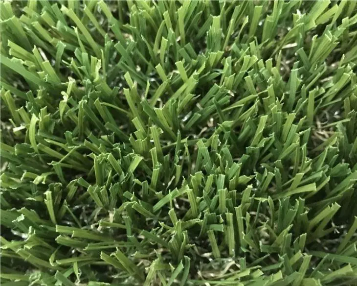 Decorative Grass 2