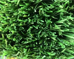 Wholesale High Quality Football Field Grass Manufacturers, Product