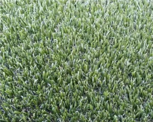 OEM High-Density UV-Resistant Artificial Grass Turf for Garden & Lawn Manufacturers