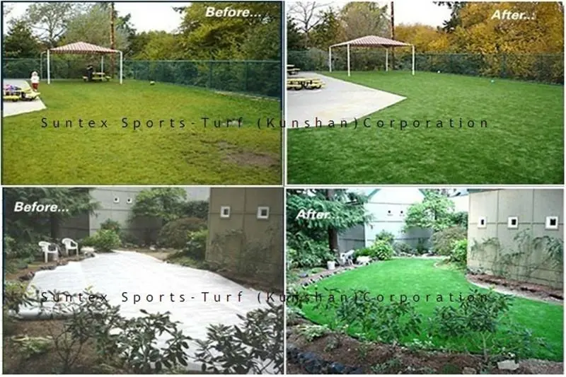 Garden Lawn Grass4