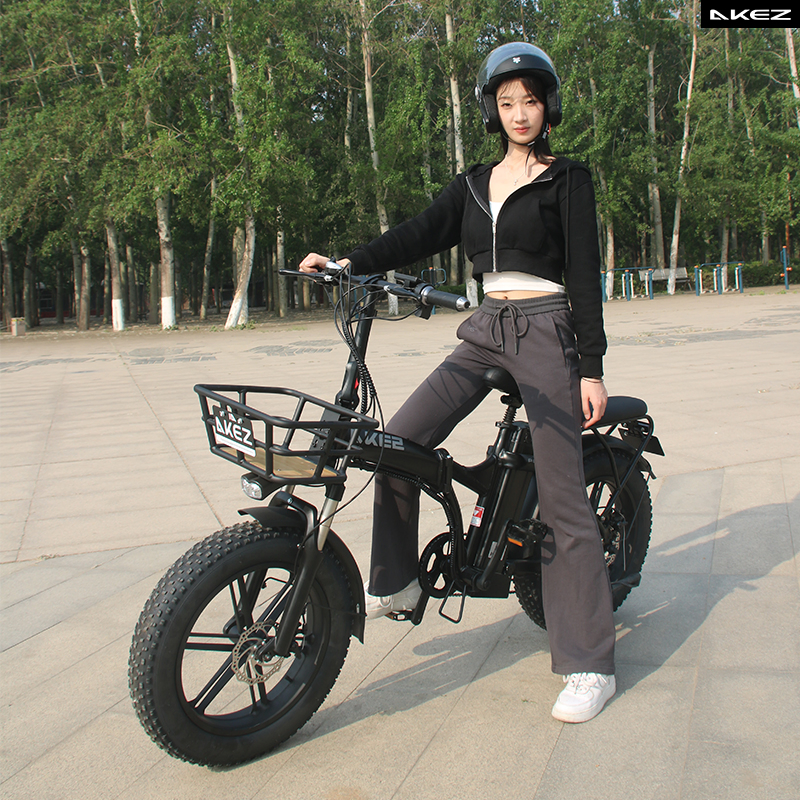 Akez Folding 48V 750W 16ah Fat Tire Electric Bike with Step-Through Frame