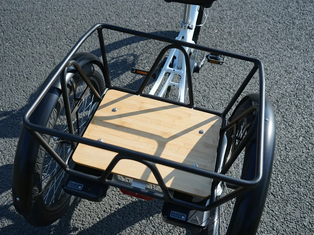 Electric Tricycle 4