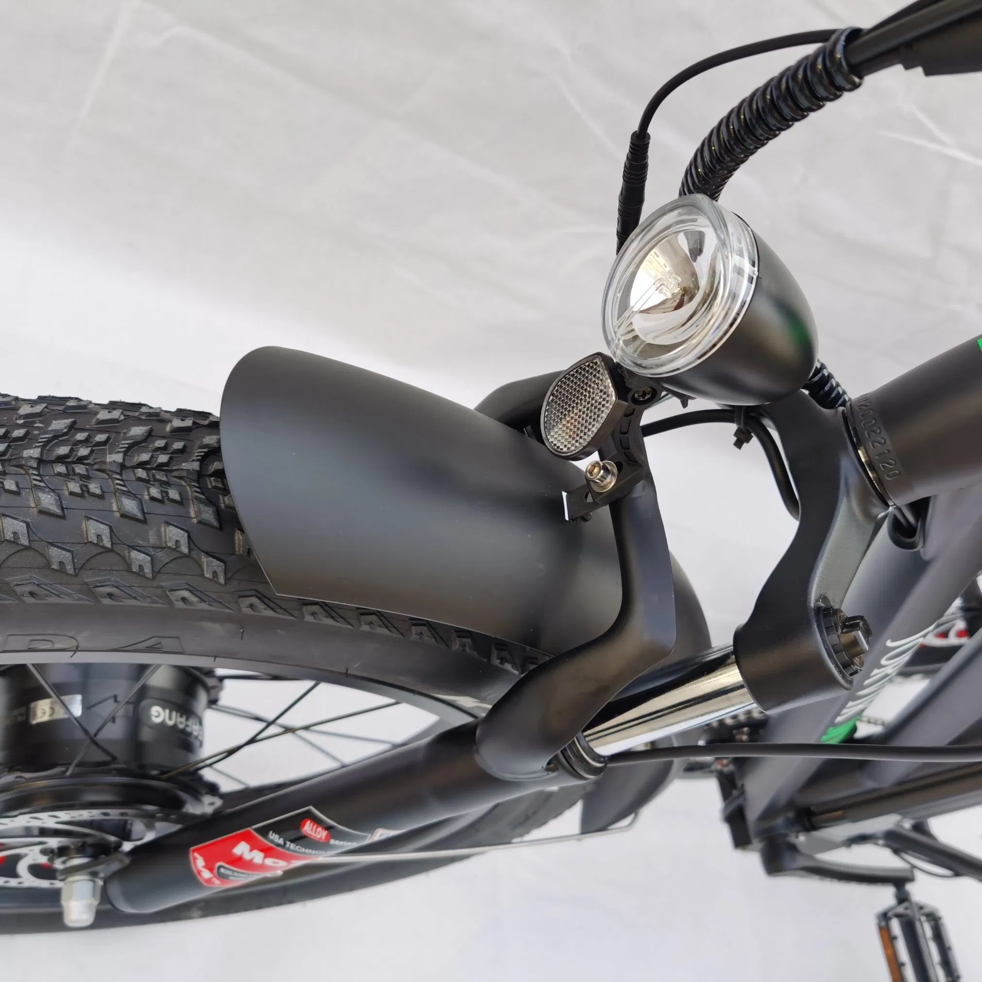 24 Inch Electric Cargo Bike Fat Tire Motorcycles Adult Three Wheel E Trike OEM Customized Factory Direct Sales Powered Electric Trike