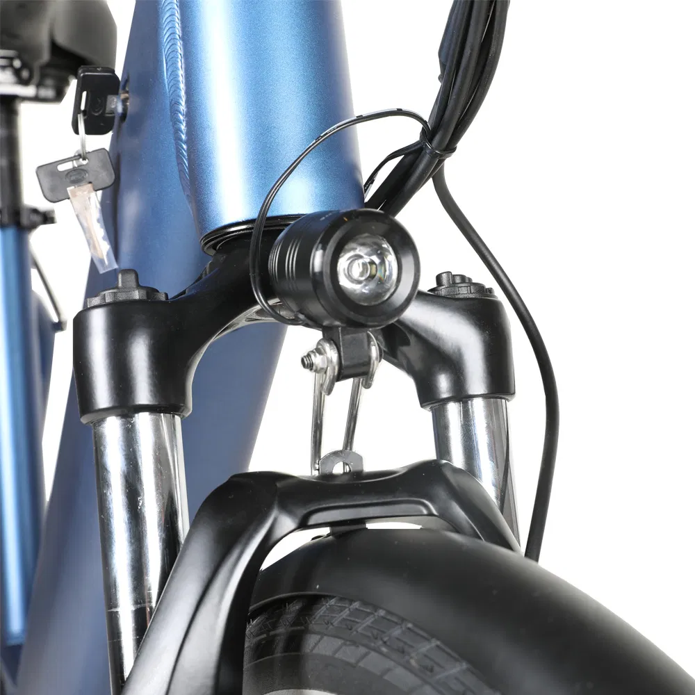 Electric Bike View 4