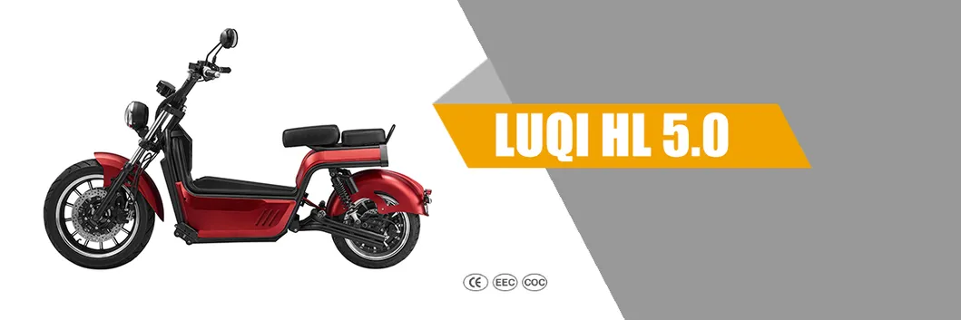 Electric Scooter Overview