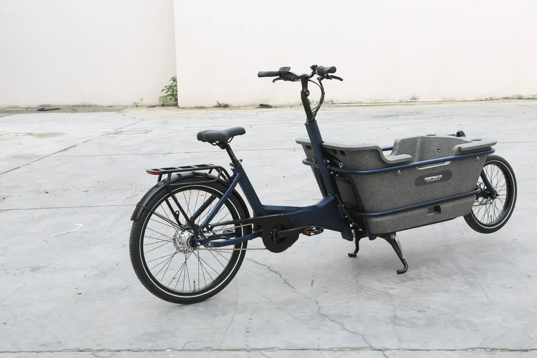 Electric Cargo Bike Detail 2