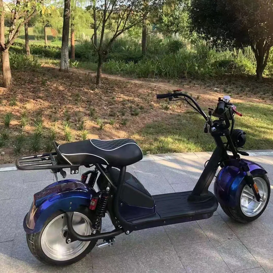 Electric Bike Details 2