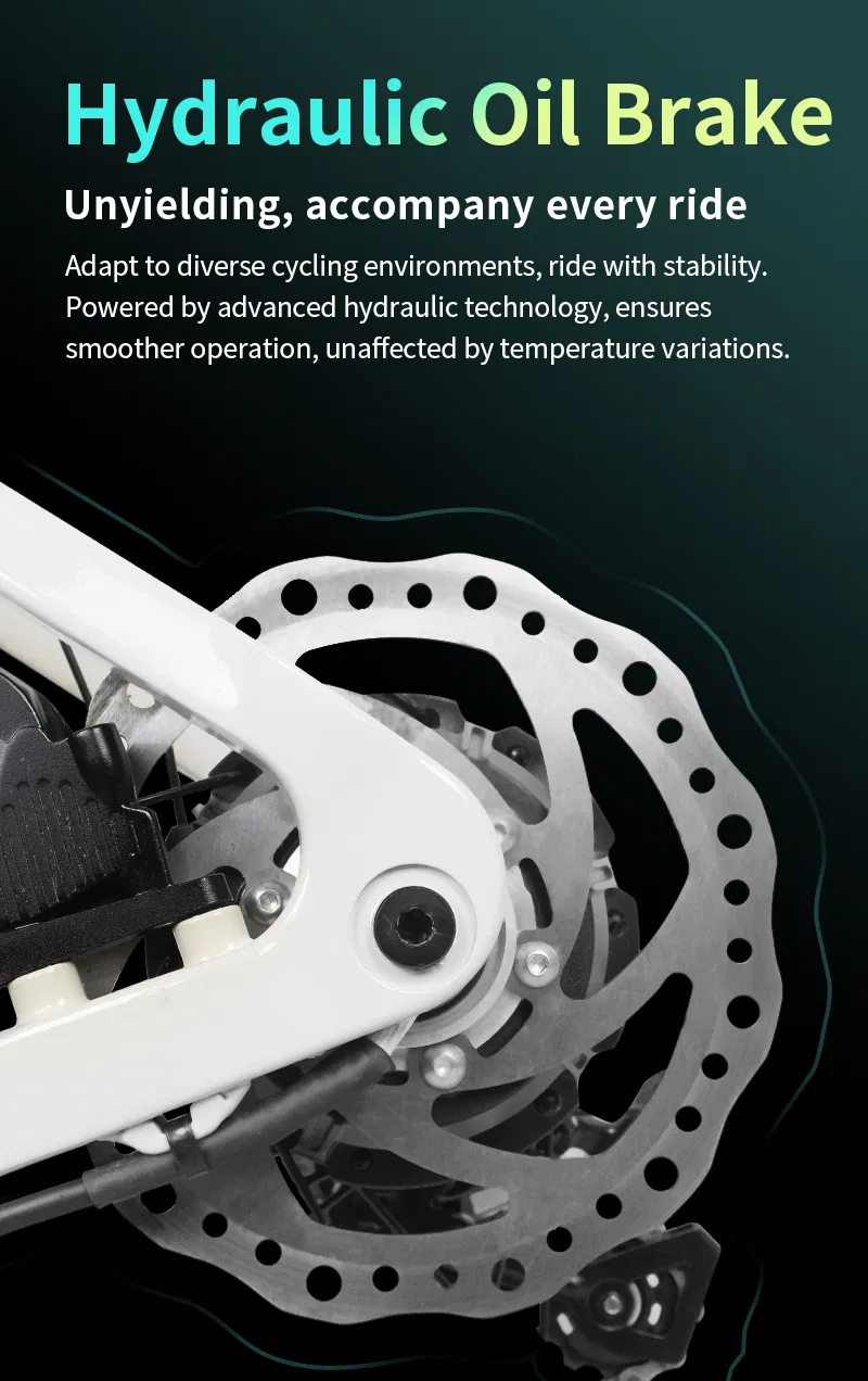 Electric Bike Battery