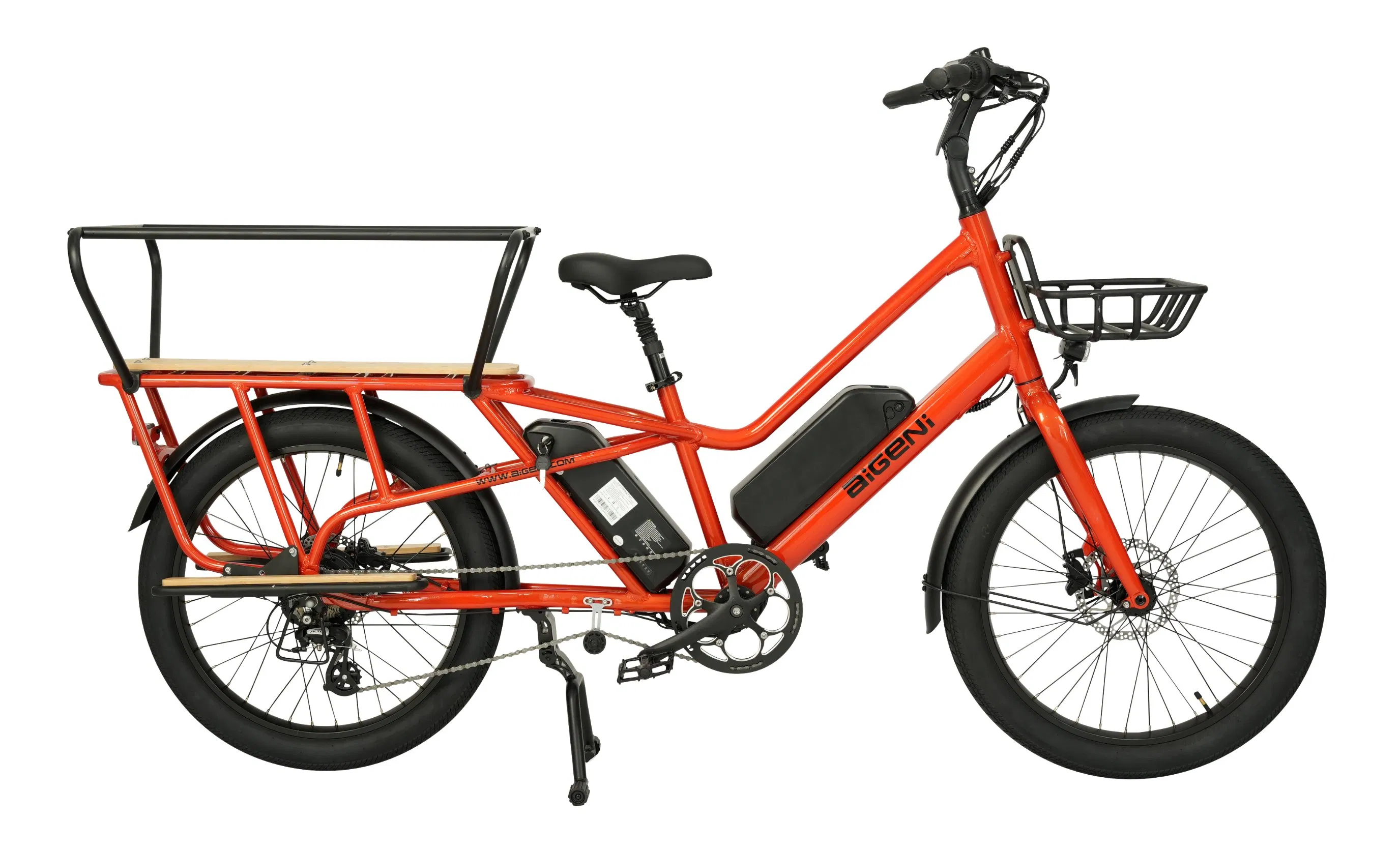 2024 Long Tail 2 Wheel Cargo Bike Electric Ebike Family E Bicycle Af2419