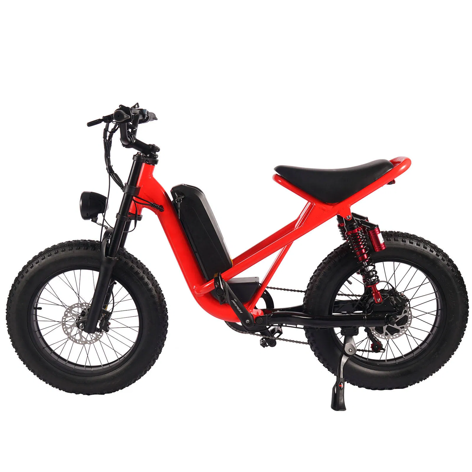 Electric Bike View 1