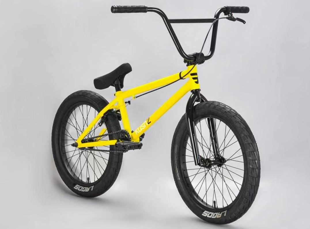 BMX Popular 20inch Single Speed BMX Stunt Cycle BMX Freestyle MTB