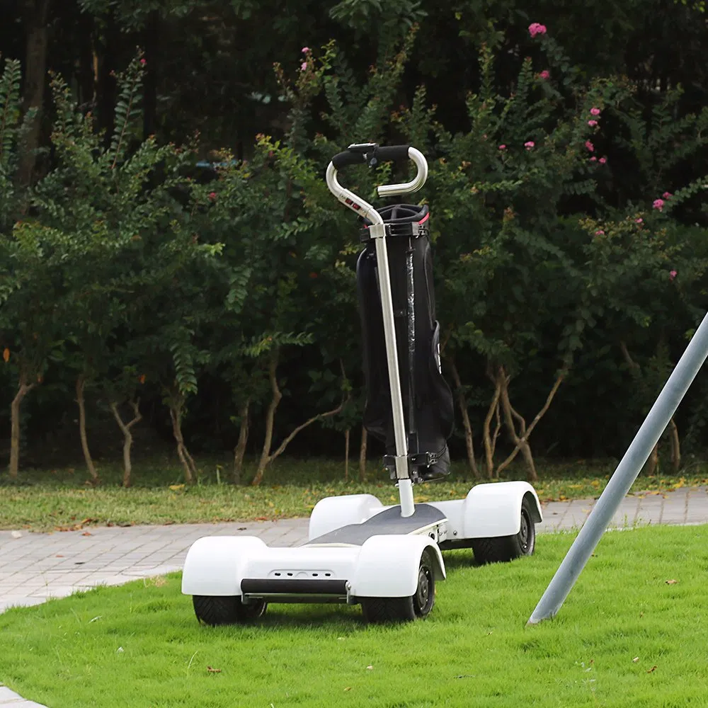 2000 Watt 4 Wheels Electric Mobility Scooter Golfboard Electric Skateboard