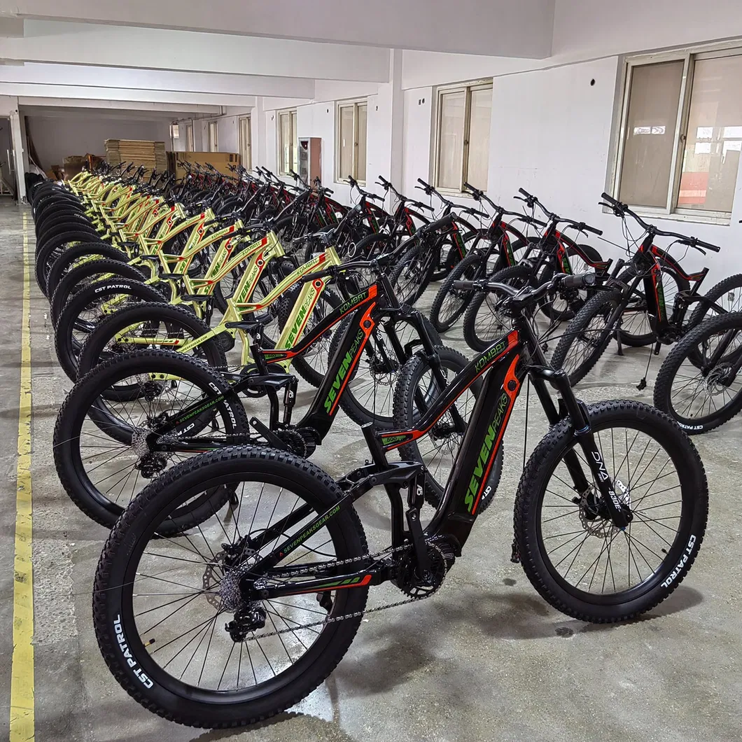 Luxury Sport Electric Moped