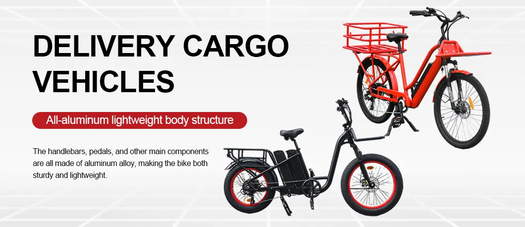 Cargo Electric Bike