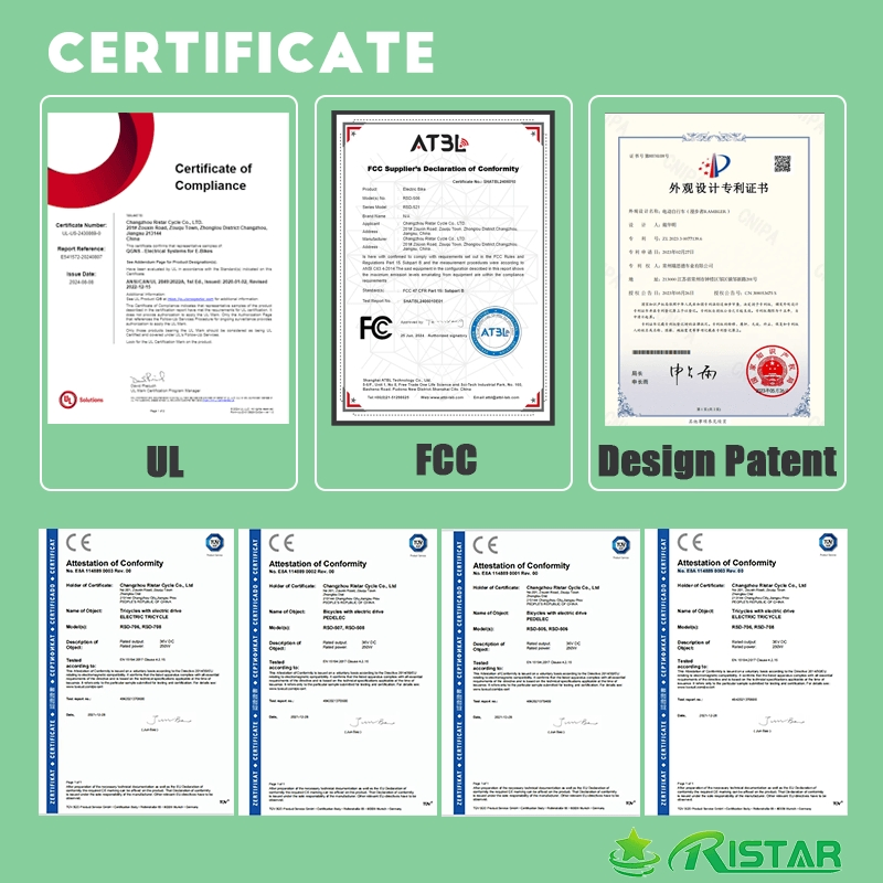 Heavy-Duty 3-Wheel Fat Tire Electric Bike Tricycle Courier E-Trike for Cargo Transport