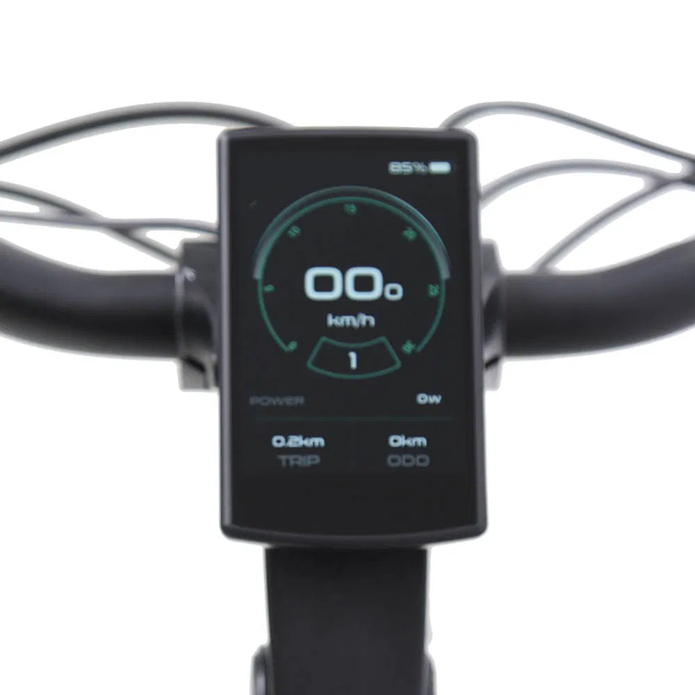 Txed Fast Cargo Bike Alloy Fork Two-Tone Customized Frame 48V/250W Rear Hub Motor Bicycle Dual Battery LCD Panel Delivery Ebike for Adult