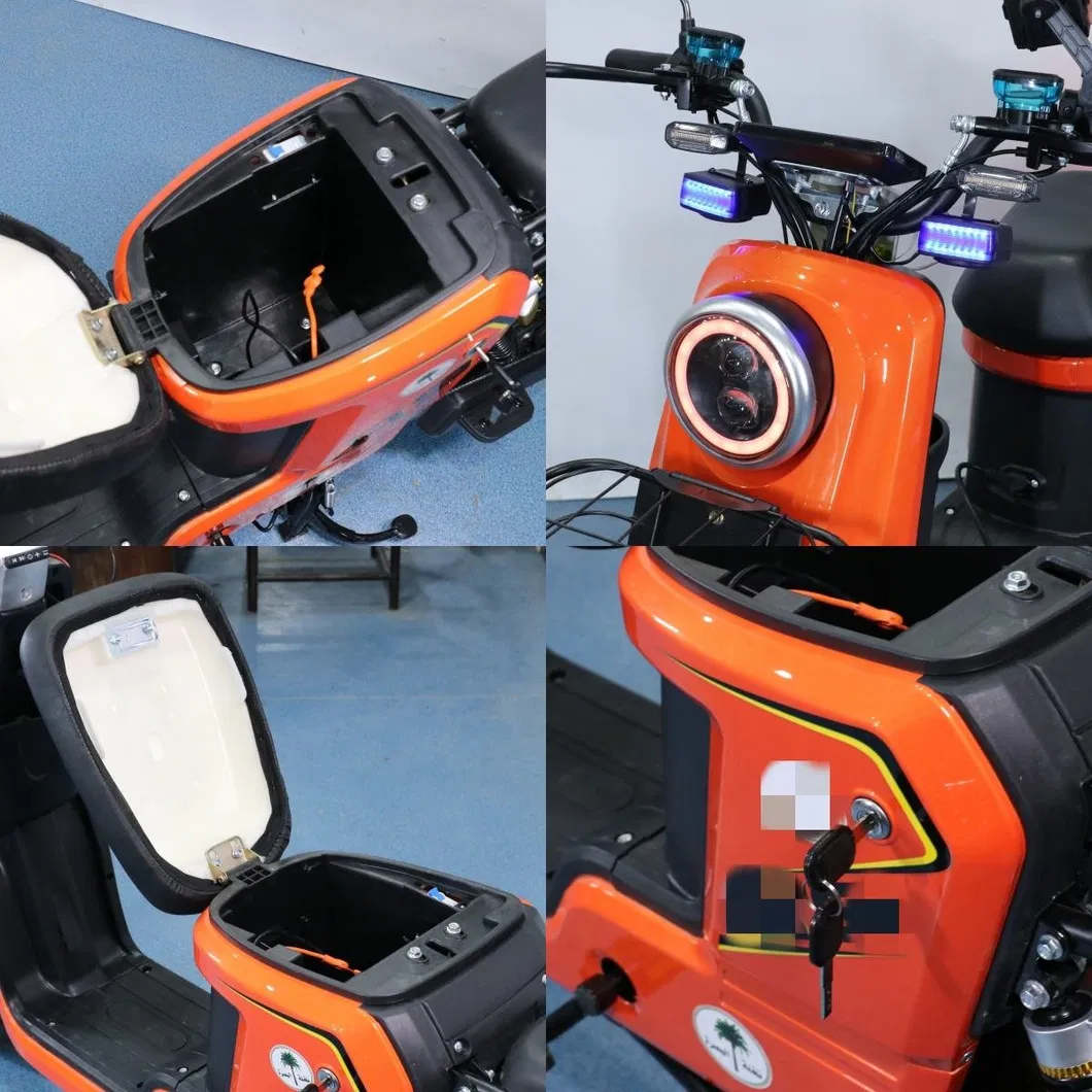 Electric Bicycle Detail 1