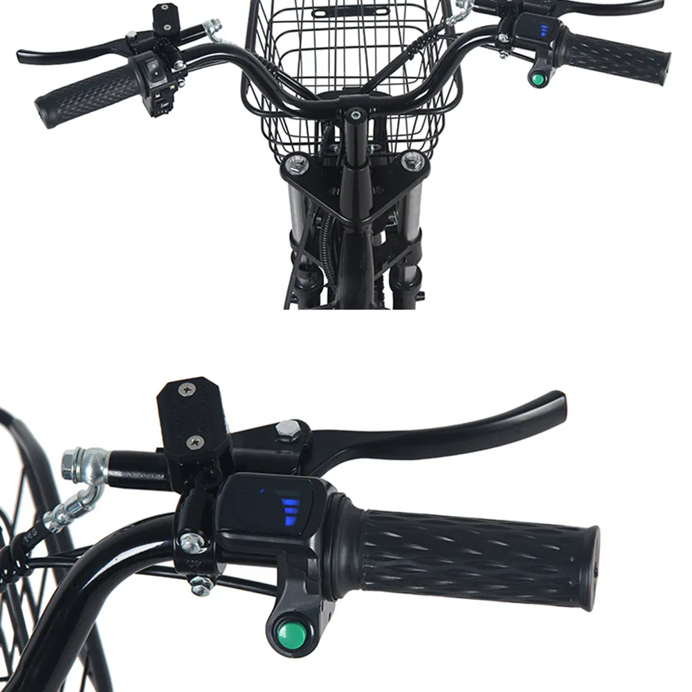 Electric Bike View 2