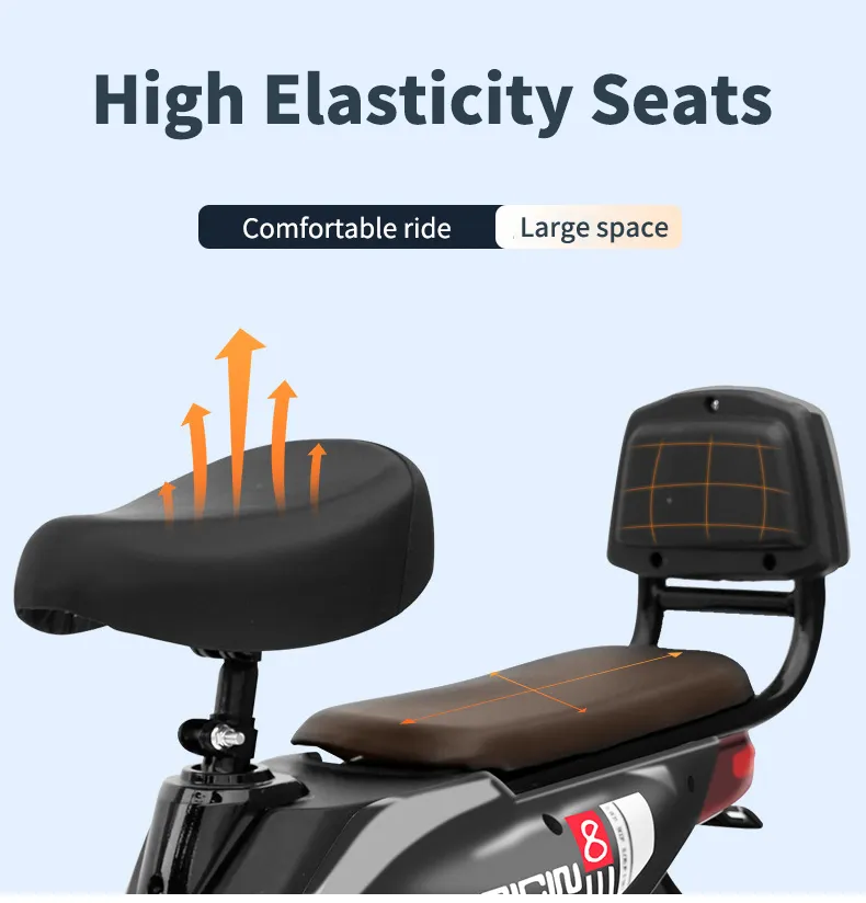 Electric Bike Details 8