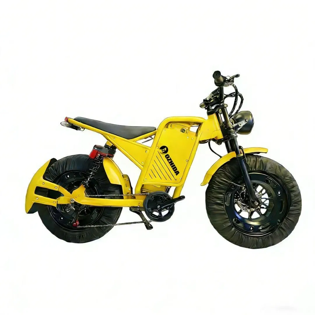 Electric Snow Bike Frame