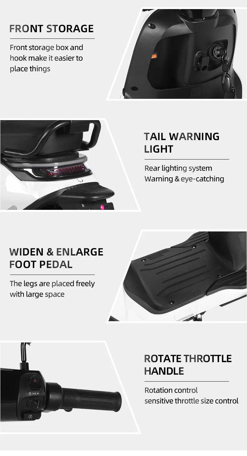 Electric Bike Detail 10