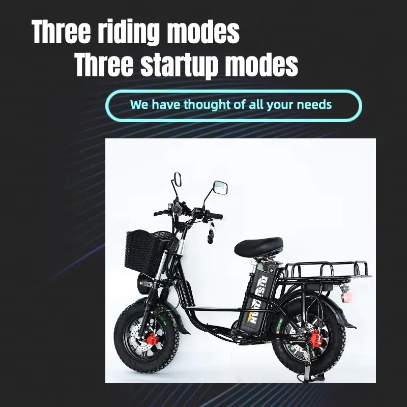 Electric Bicycle Rear