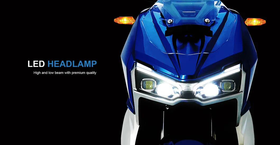 Electric Bike Detail