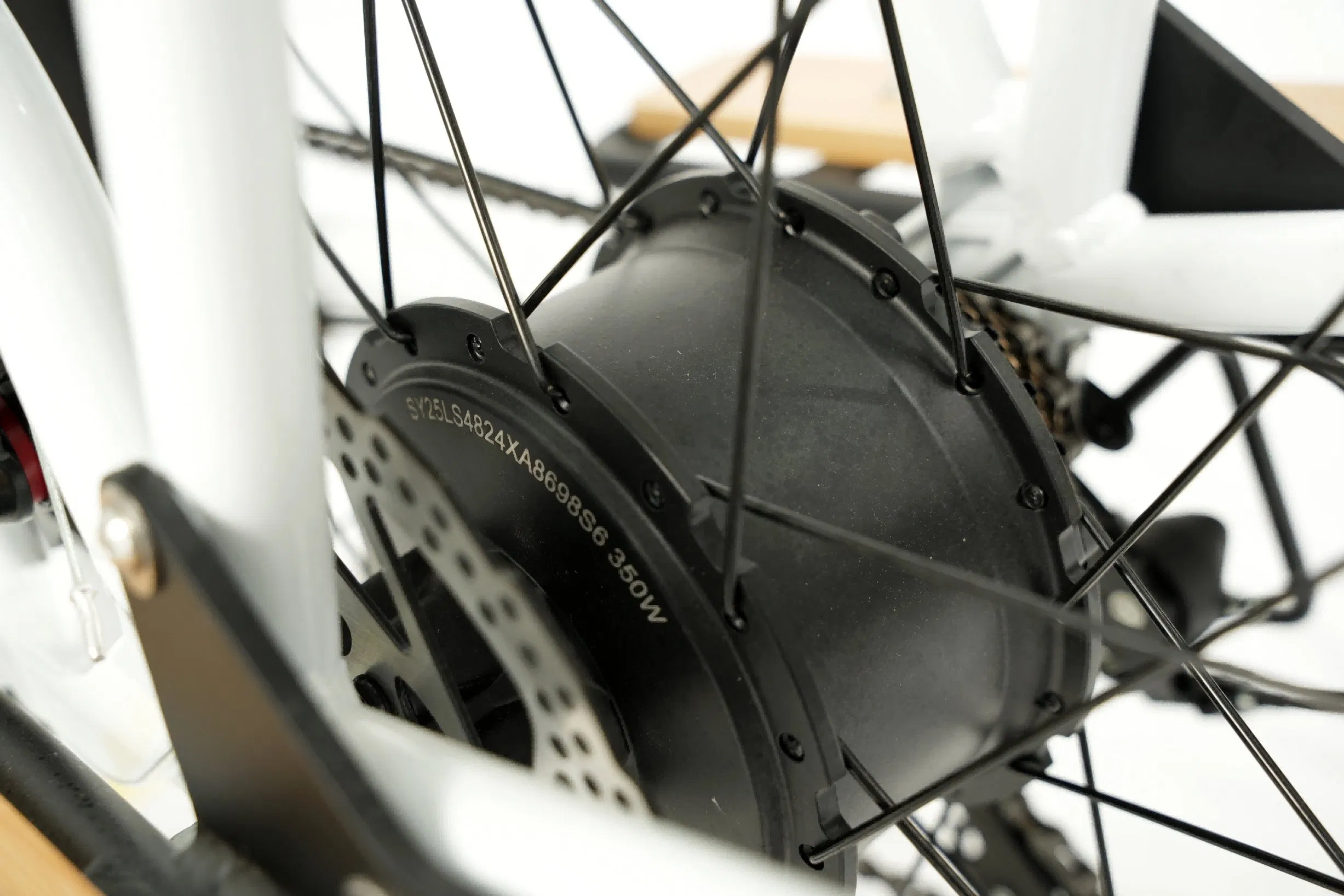 New Cargo Ebike 48V 350W Fat Tire Family Electric Bicycle Af2422