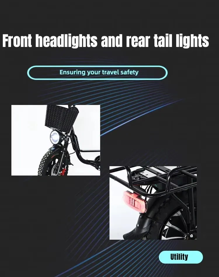 Electric Bicycle Detail 1