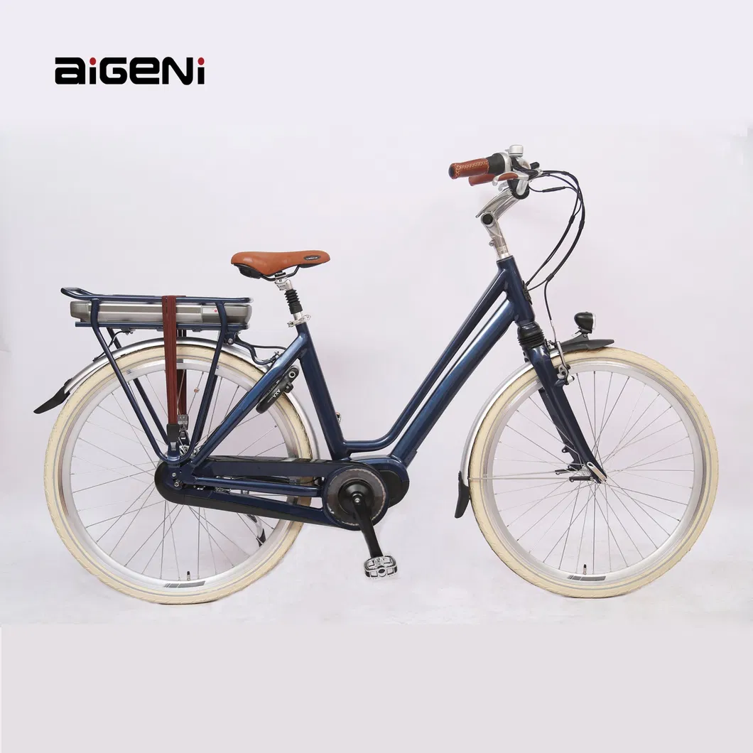 Electric City Bike View 2