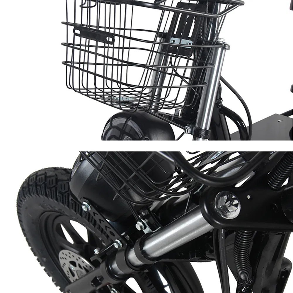 Electric Bike View 1