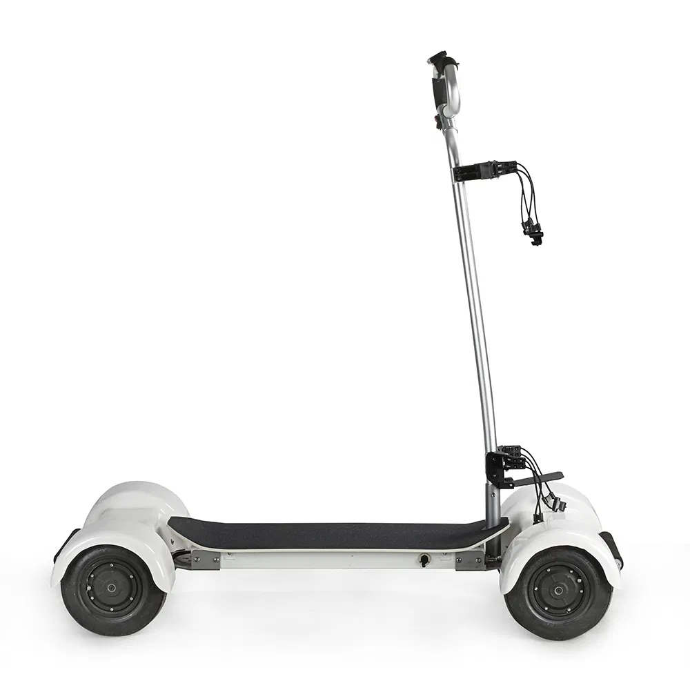 1000W 20.8ah 60V Golfboard Golf Electric Skateboard