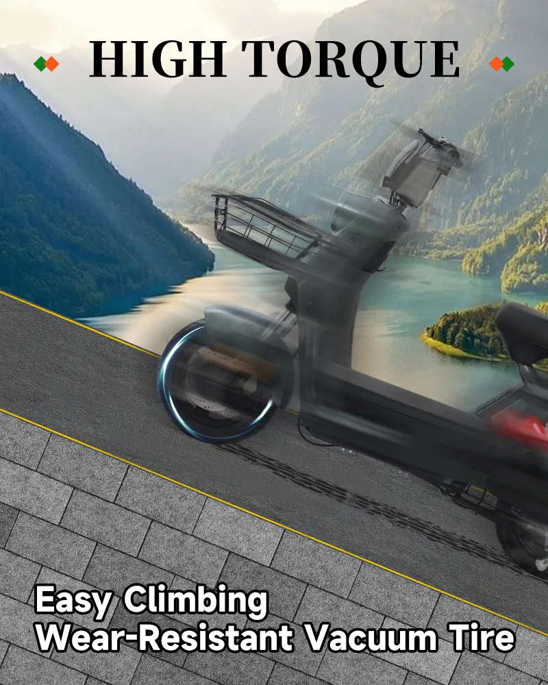 Electric Scooter Features