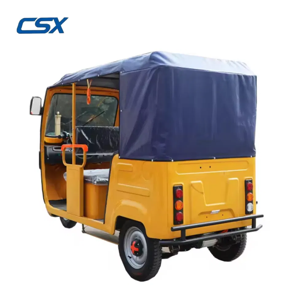 Park Stone Pavement Climbing Mountainous Areas Electric Trike for People and Cargo