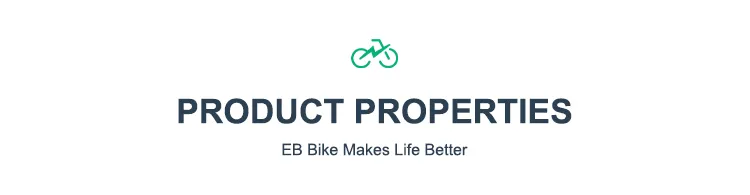 Electric Scooter Banner