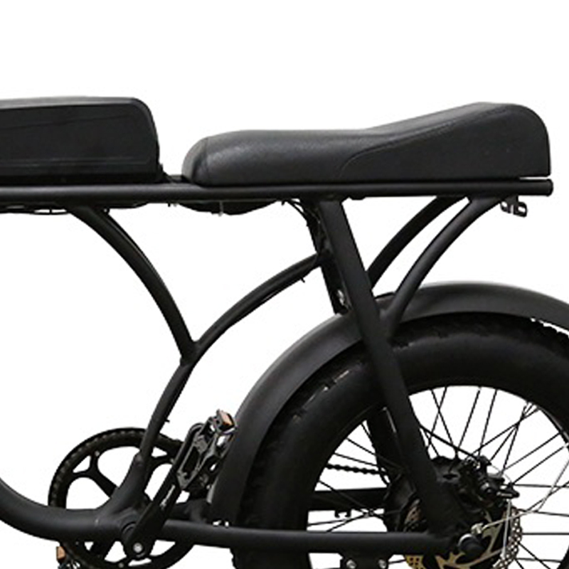 Brushless 20*4.0 Gravity Shengzhen, China Commuter Drit Electric E Bike with Factory Price