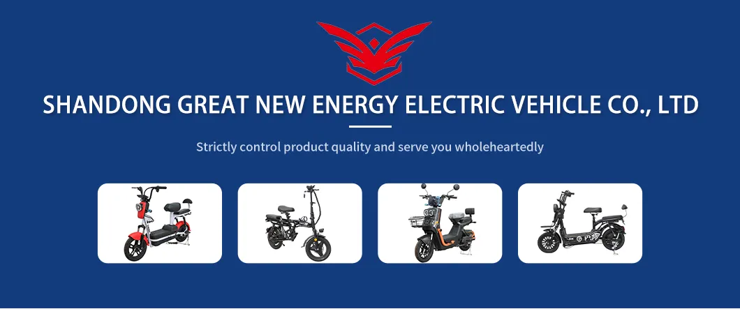 Electric City Bicycle Banner